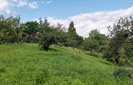 Teren 2143 mp, feleacu, intravilan, cu sura si casa demolabila