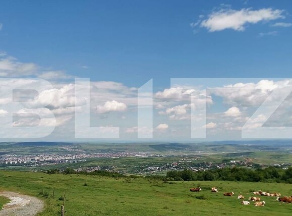 Casa de vânzare 2 camere Feleacu - 152328CV | BLITZ Cluj-Napoca | Poza2