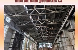 Platforma industriala cu potential de dezvoltare, 14000mp, Turda 