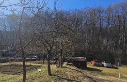 Teren intravilan, 1195 mp, urbanism de constructie casa, Faget, langa padure!