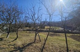 Teren intravilan, 1195 mp, urbanism de constructie casa, Faget, langa padure!