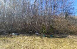 Teren intravilan, 1195 mp, urbanism de constructie, Faget, langa padure!