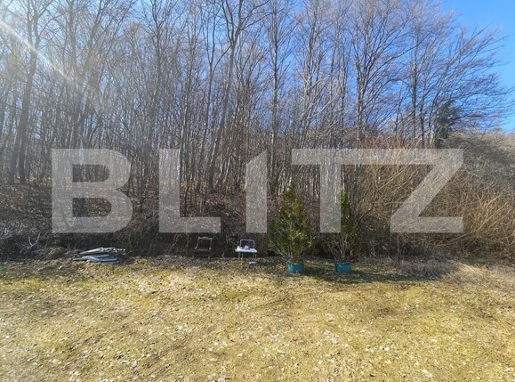 Teren de vânzare Făget - 152349TV | BLITZ Cluj-Napoca | Poza3