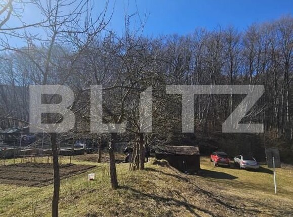 Teren de vânzare Făget - 152349TV | BLITZ Cluj-Napoca | Poza2