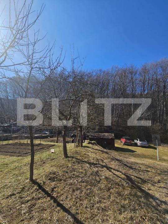 Teren de vânzare Făget - 152349TV | BLITZ Cluj-Napoca | Poza2