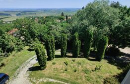 Casa unica 300 mp utili, teren 2325 mp, zona sat Gheorghieni intimitate totala