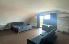 Penthouse 140 mp, terasa, 2 garaje, zona strazii Trifoiului