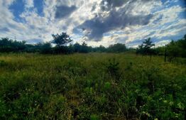 Teren intravilan 9357 mp, 40 ml front, zona Mihai Romanu