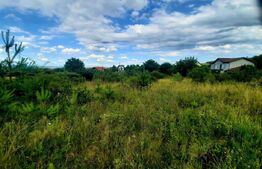 Teren intravilan 9357 mp, 40 ml front, zona Mihai Romanu