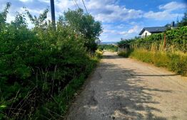 Teren intravilan 9357 mp, 40 ml front, zona Mihai Romanu