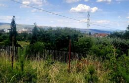 Teren intravilan 9357 mp, 40 ml front, zona Mihai Romanu