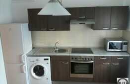 1 camera, 40 mp, decomandat, la prima inchiriere, zona strazii Plopilor