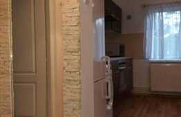 1 camera, 40 mp, decomandat, la prima inchiriere, zona strazii Plopilor