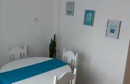 1 camera, 40 mp, decomandat, la prima inchiriere, zona strazii Plopilor