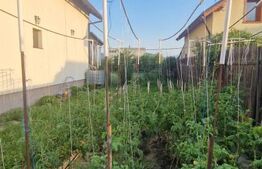 Casă 5 camere, 1000 mp teren Carpinis -Tarlungeni