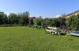 Casă 5 camere, 1000 mp teren Carpinis -Tarlungeni