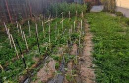 Casă 5 camere, 1000 mp teren Carpinis -Tarlungeni