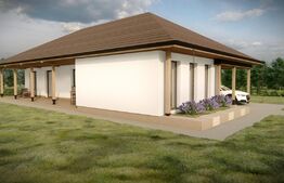 Casa individuala pe un singur nivel, 119 mp ,  726 teren, Chinteni 