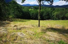 De vanzare, teren intravilan , 3127mp 