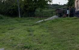 Teren intravilan , 21.450 mp, utilitati, zona sat Dumbrava