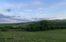 Teren intravilan , 21.450 mp, utilitati, zona sat Dumbrava