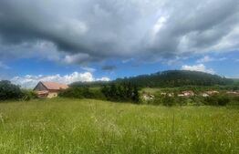 Teren intravilan de vanzare pretabil pentru case individuale, Savadisla 