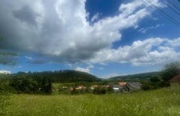 Teren intravilan de vanzare pretabil pentru case individuale, Savadisla 