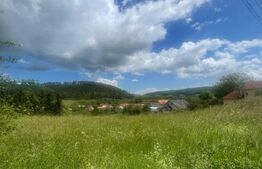 Teren intravilan de vanzare pretabil pentru case individuale, Savadisla 