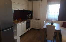 2 camere, 56 mp, totul nou, garaj subteran, zona strazii Constantin Brancusi