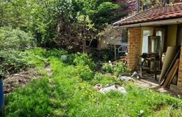 Casa structura lemn, teren 1800mp , zona Bod