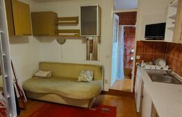 Garsoniera , 14mp, zona Calea Florești