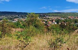 Teren intravilan 1000mp,in Dambul Rotund