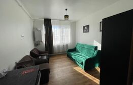 Garsoniera, 25 mp, centrală termică, zona Traian Vuia