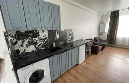 Garsoniera, 25 mp, centrală termică, zona Traian Vuia