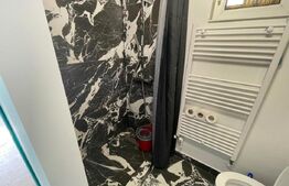 Garsoniera, 25 mp, centrală termică, zona Traian Vuia