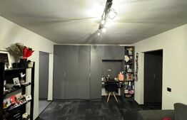 Apartament 2 camere, 55mp, mobilat-utilat, balcon, zona Alexandru Vlahuta 