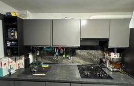 Apartament 2 camere, 55mp, mobilat-utilat, balcon, zona Alexandru Vlahuta 