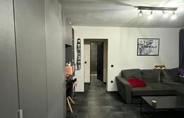 Apartament 2 camere, 55mp, mobilat-utilat, balcon, zona Alexandru Vlahuta 