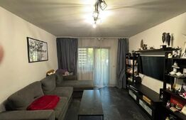 Apartament 2 camere, 55mp, mobilat-utilat, balcon, zona Alexandru Vlahuta 