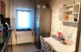 Apartament cu 2 camere, renovat complet, zona Policlinica Grigorescu