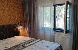 Apartament cu 2 camere, renovat complet, zona Policlinica Grigorescu