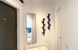 Garsoniera, 30 mp, zona Big