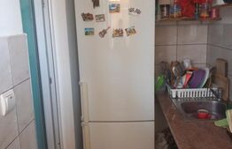 Apartament  2 camere, parter, zona Porii