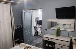 Apartament  2 camere, parter, zona Porii