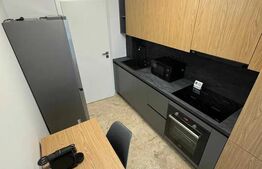 Apartament 2 camere, 55mp, zona Park Lake 3