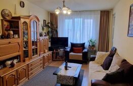 Apartament 3 camere , Grivitei