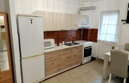 Apartament 2 camere de vânzare, mobilat complet, 40 mp, zona Constantin Brancusi