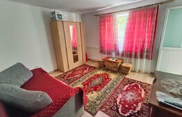 Apartament 2 camere decomandate, mobilat, , zona McDonald`s