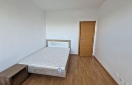 Apartament de 3 camere, 67 mp utili cu grădină de 161 mp lângă Iulius Mall