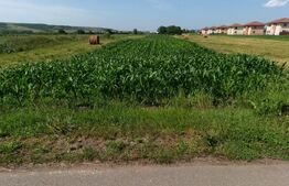 Teren intravilan în Jucu 2900 mp 